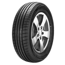 Autogreen Smart Chaser SC1 195/65 R15 91 V