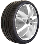 Fortune FSR701 225/55 R17 101 W XL