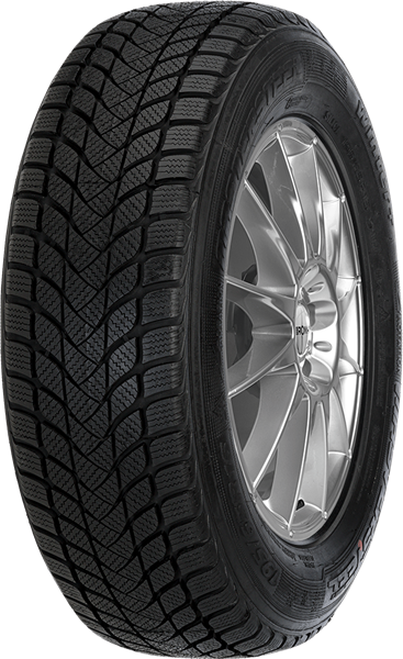 Mastersteel WINTER + W1 205/50 R17 93 H XL