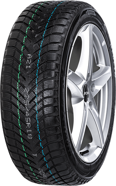 Neolin NeoWinter 205/50 R17 93 V XL